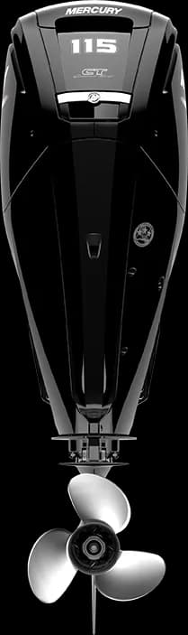 FourStroke 115 HP görsel 5
