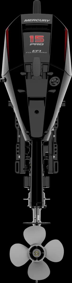 Mercury FourStroke 15 HP