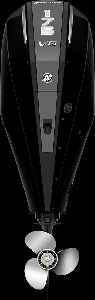 Mercury FourStroke 175 HP