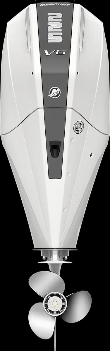 Mercury FourStroke 225 HP