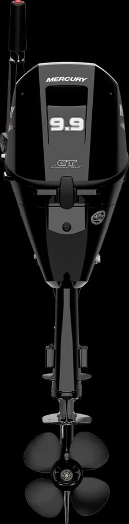 FourStroke 9.9 HP görsel 15