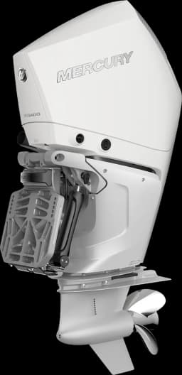 Verado 250 HP görsel 11
