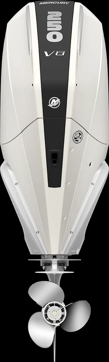 Mercury Verado 250 HP