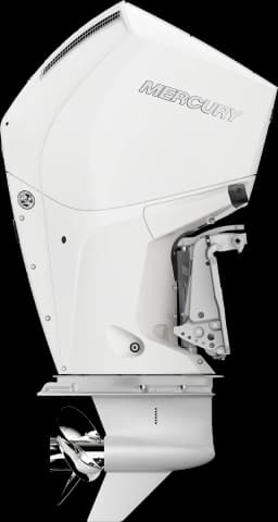 FourStroke 250 HP görsel 14