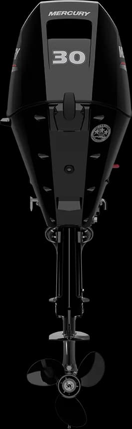 Mercury FourStroke 30 HP