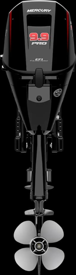 FourStroke 9.9 HP görsel 54