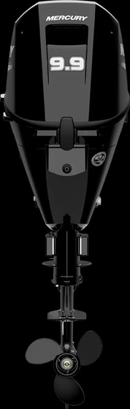 FourStroke 9.9 HP görsel 65