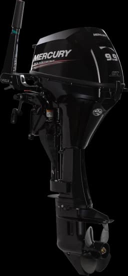 FourStroke 9.9 HP görsel 75